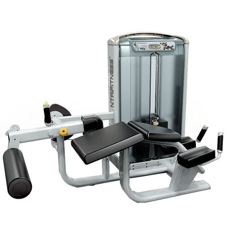 standing hamstring curl machine