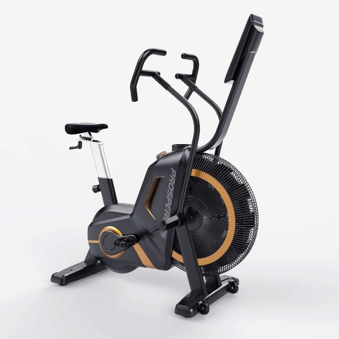 assault air exercise bike