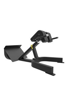 Back Extension Bench For Sale Ntaifitness