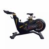 Commercial Spin Bike for Sale