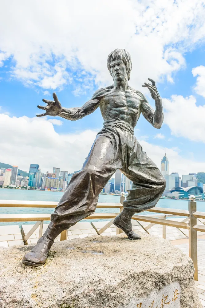 Bruce Lee: The Revolutionary